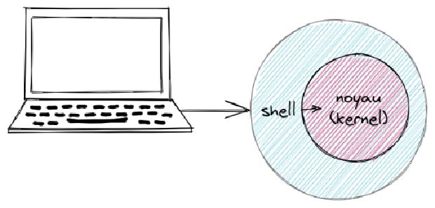 Le shell, à gros traits